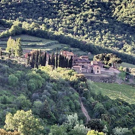 Residenza Antico Chianti Guest House Panzano in Chianti Exterior foto