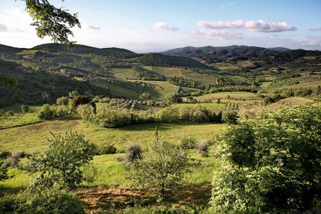 Residenza Antico Chianti Guest House Panzano in Chianti Exterior foto